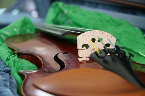 Viorile Stradivarius sunt un FAKE